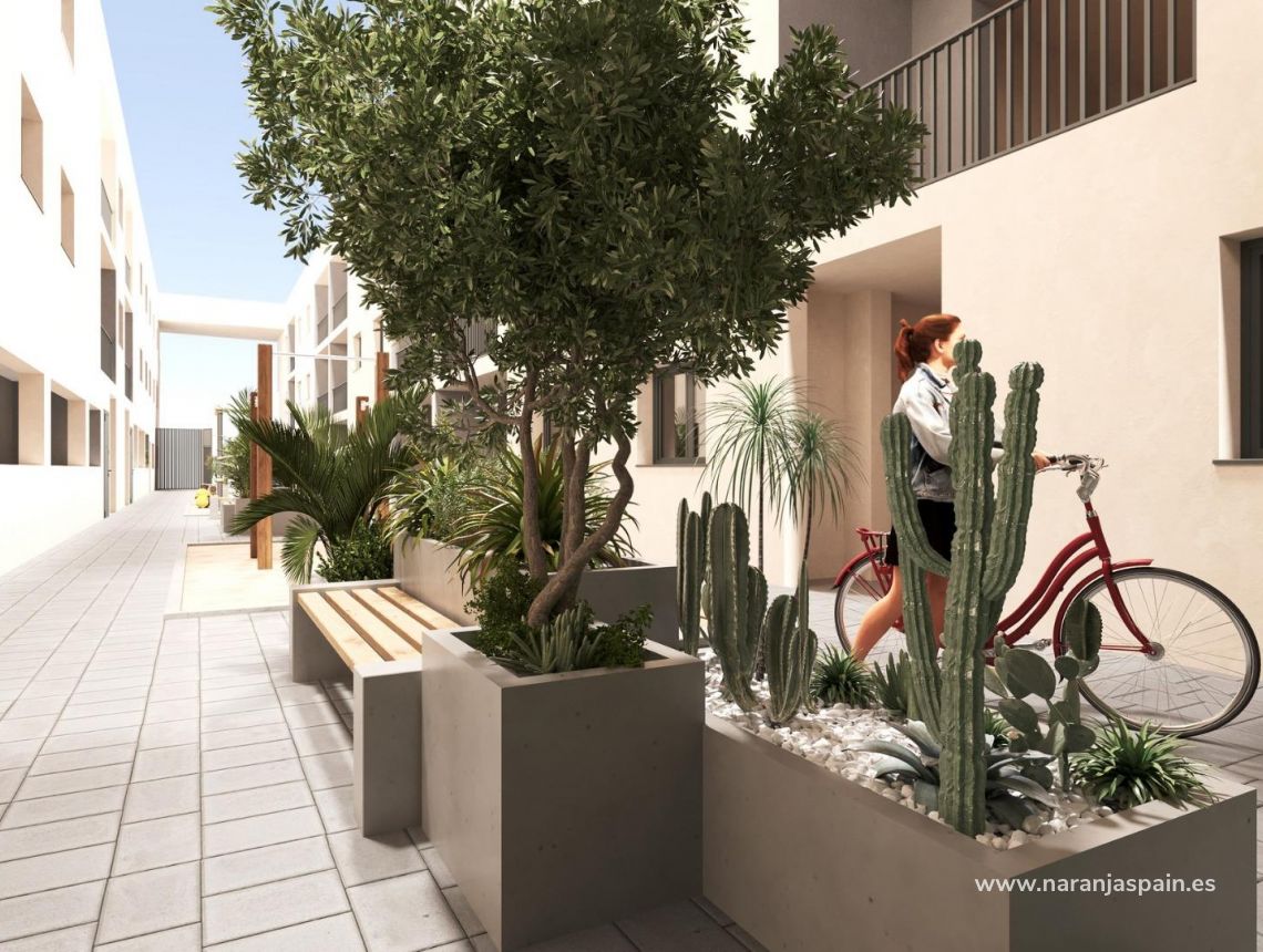 Ny bolig - Penthouse  - San Miguel de Salinas - Pueblo