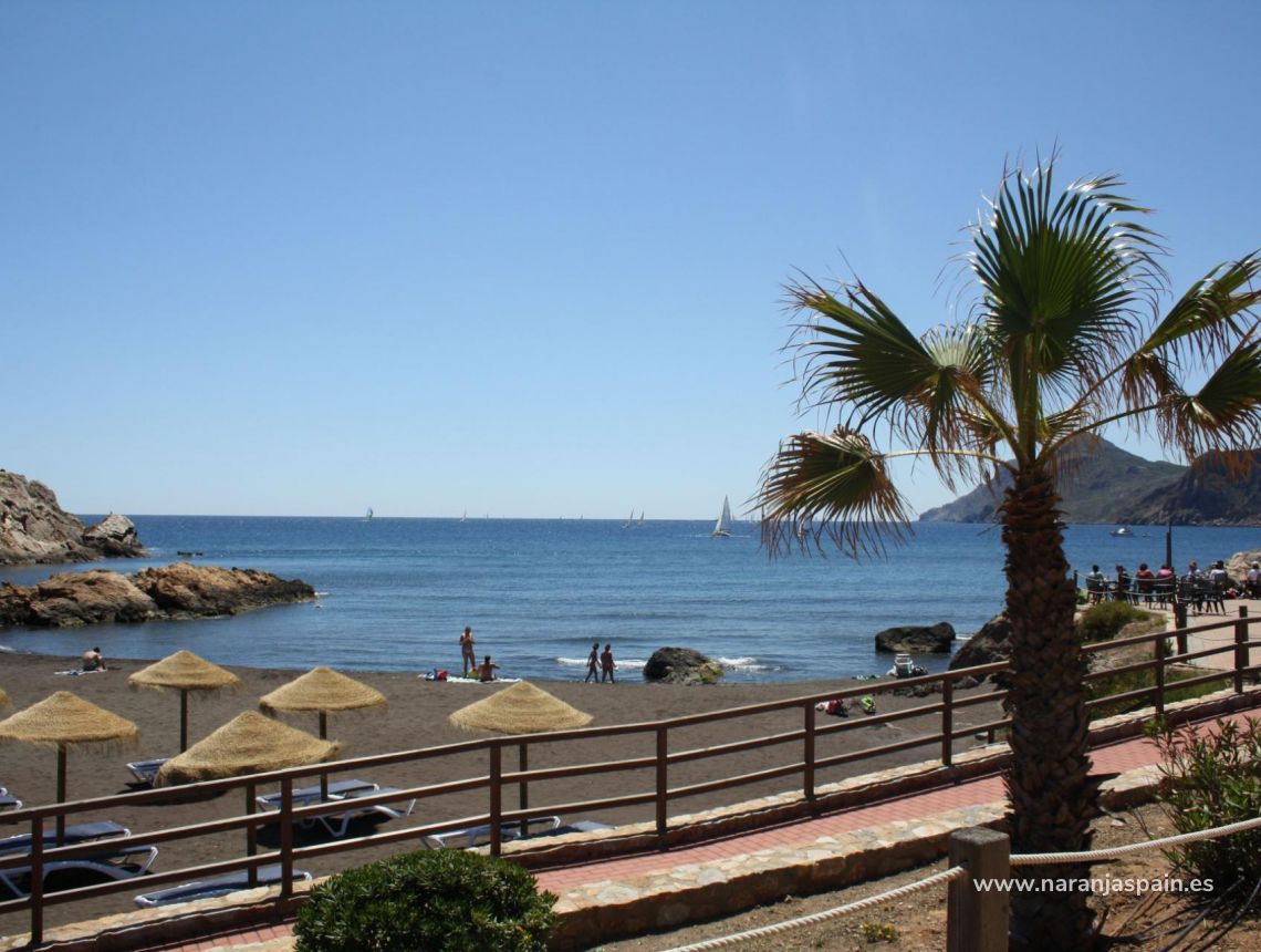 Ny bolig - Town House - La Union - centro