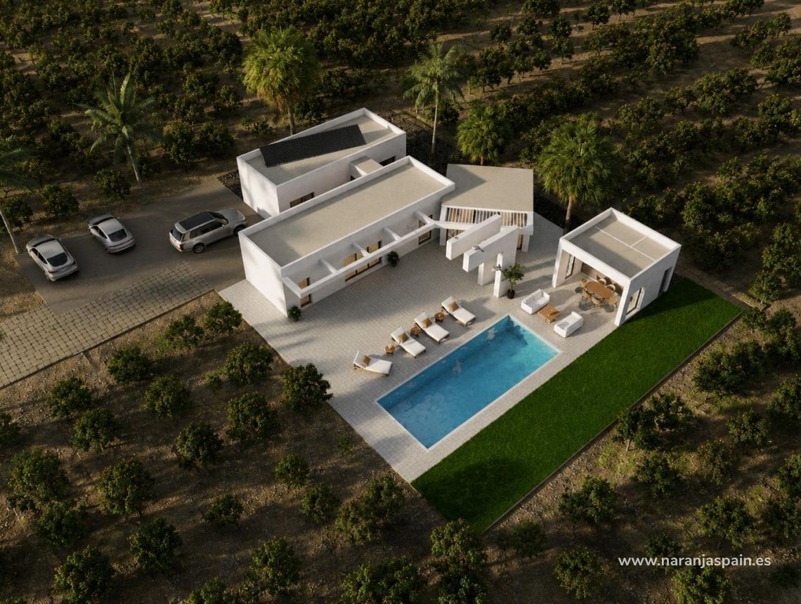 Ny bolig - Villa - Benejúzar - alta