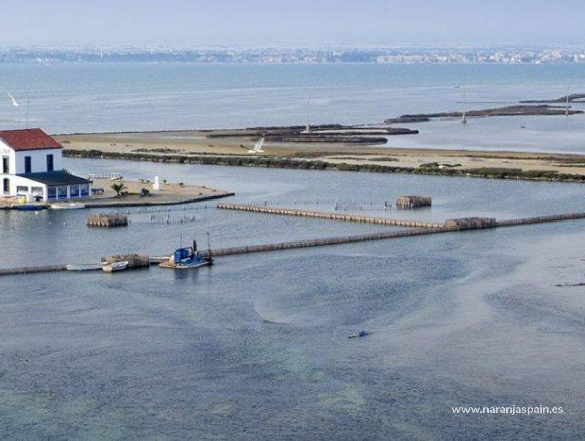 Ny bolig - Villa - San Pedro del Pinatar - Las Esperanzas