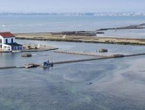 Ny bolig - Villa - San Pedro del Pinatar - San Pedro Del Pinatar