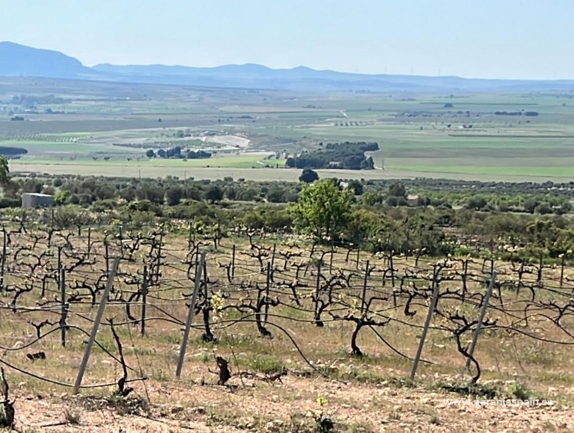 Ny bolig - Villa - Yecla