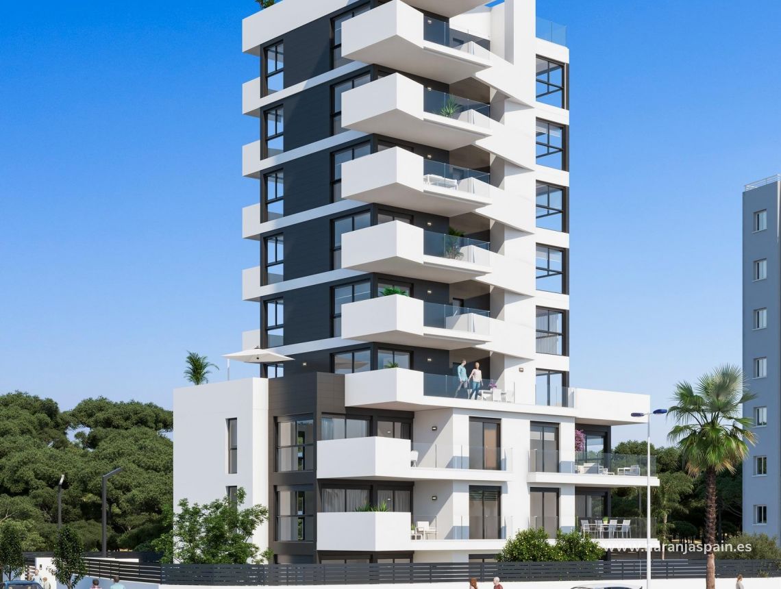Obra Nueva - Apartamento - Guardamar del Segura - Puerto Deportivo