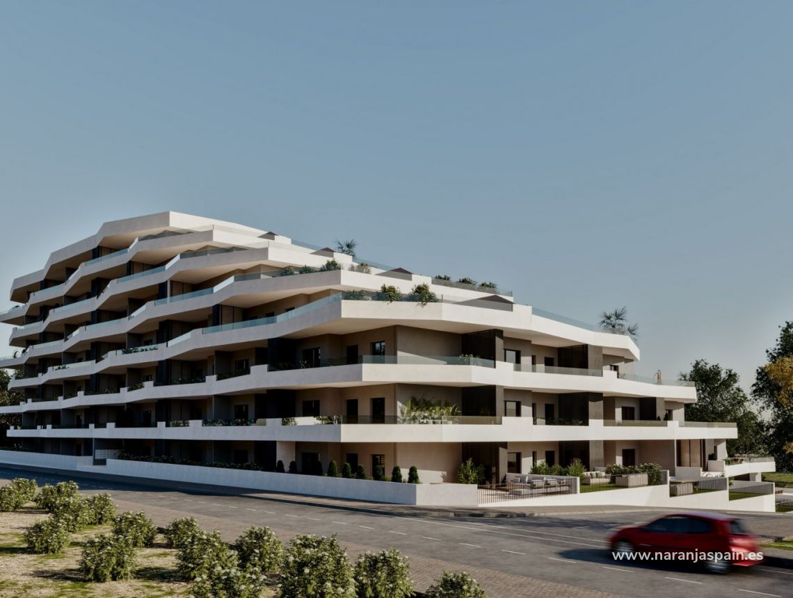 Obra Nueva - Apartamento - San Miguel de Salinas - Pueblo