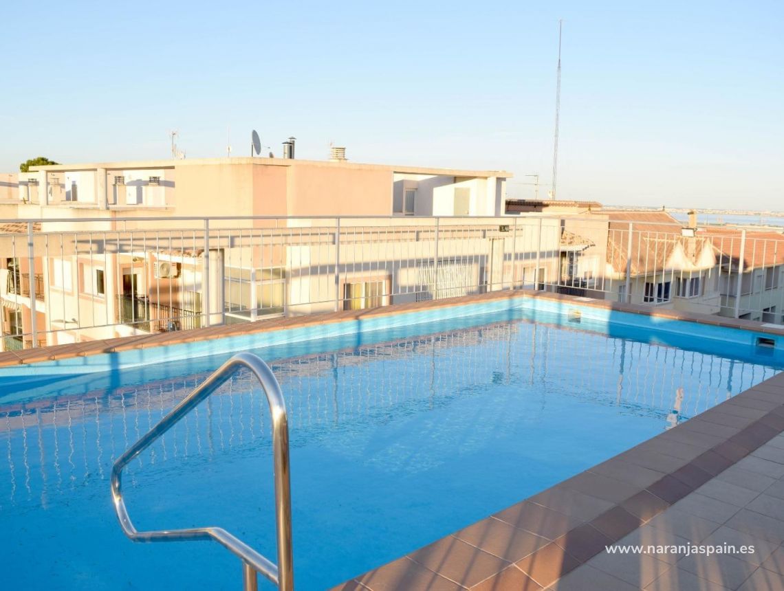 Obra Nueva - Apartamento - San Miguel de Salinas - San Miguel De Salinas