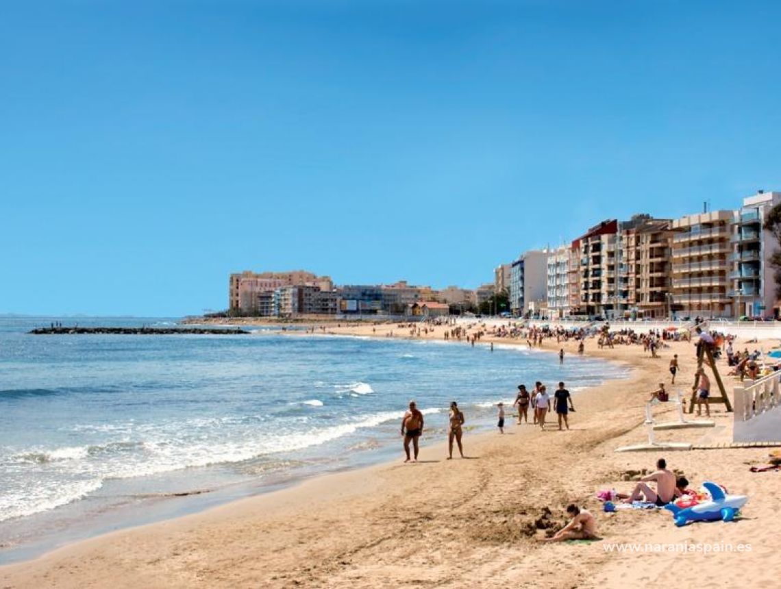 Obra Nueva - Ático - Torrevieja - Playa del cura