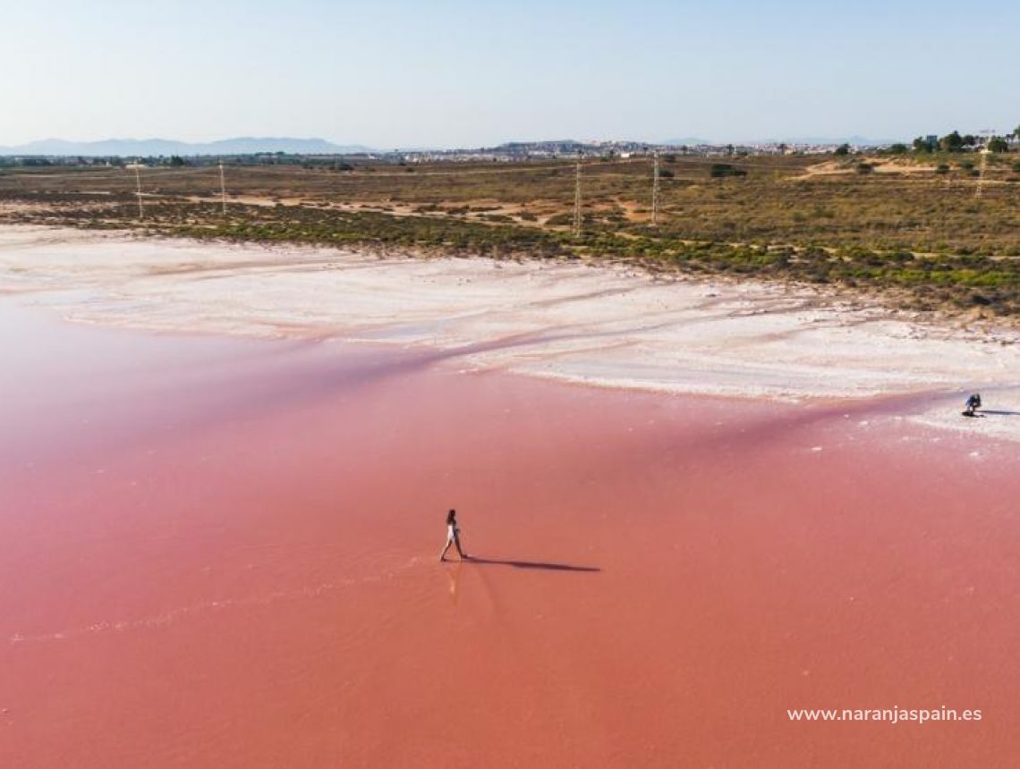 Obra Nueva - Ático - Torrevieja - Playa del cura