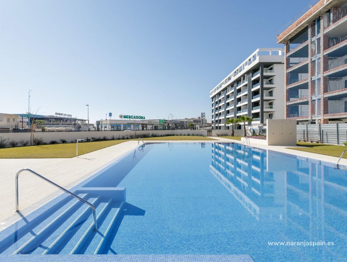Obra Nueva - Ático - Torrevieja - Torreblanca