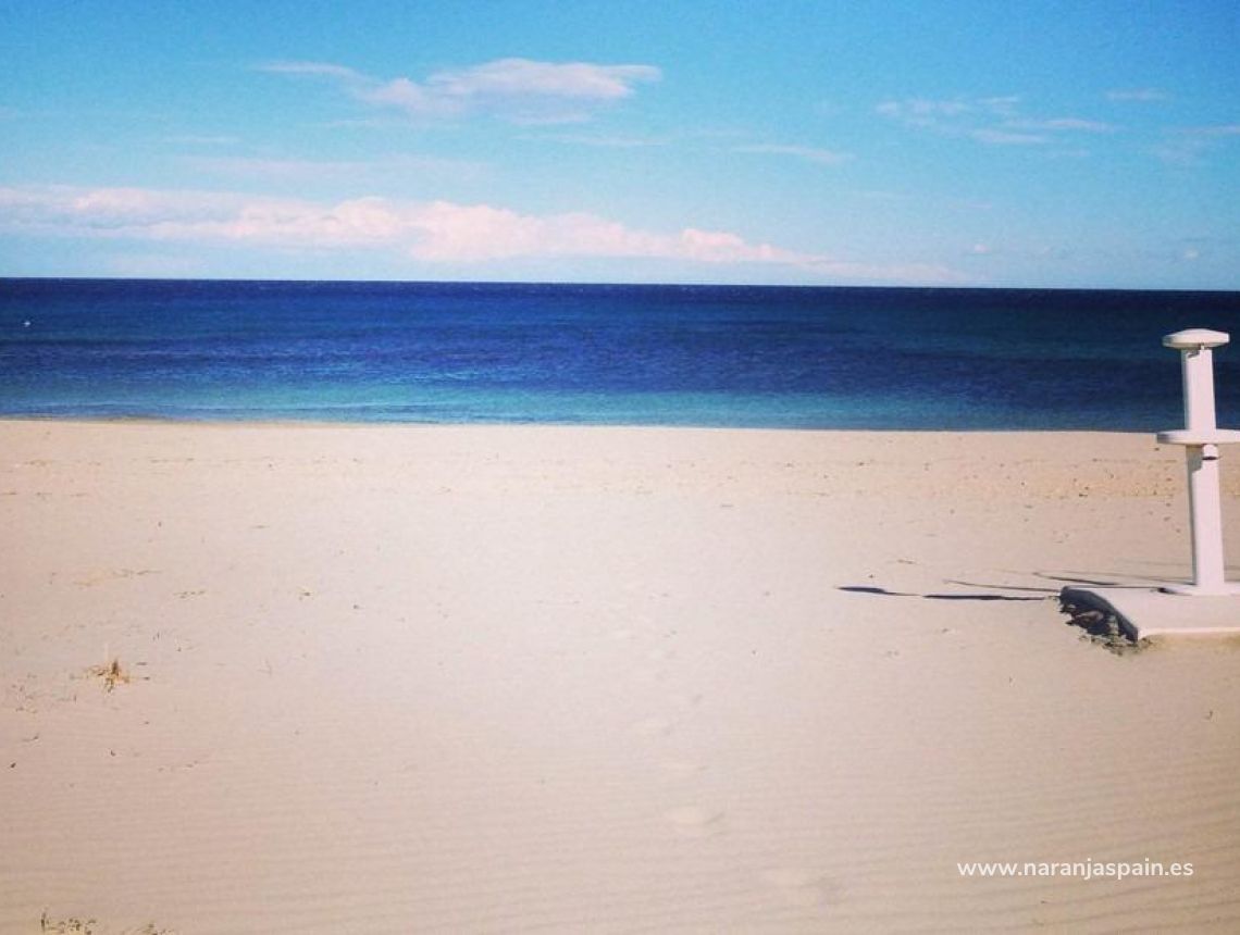 Obra Nueva - Bungalow - Pilar de la Horadada - Parque Ramon eugenio Escudero