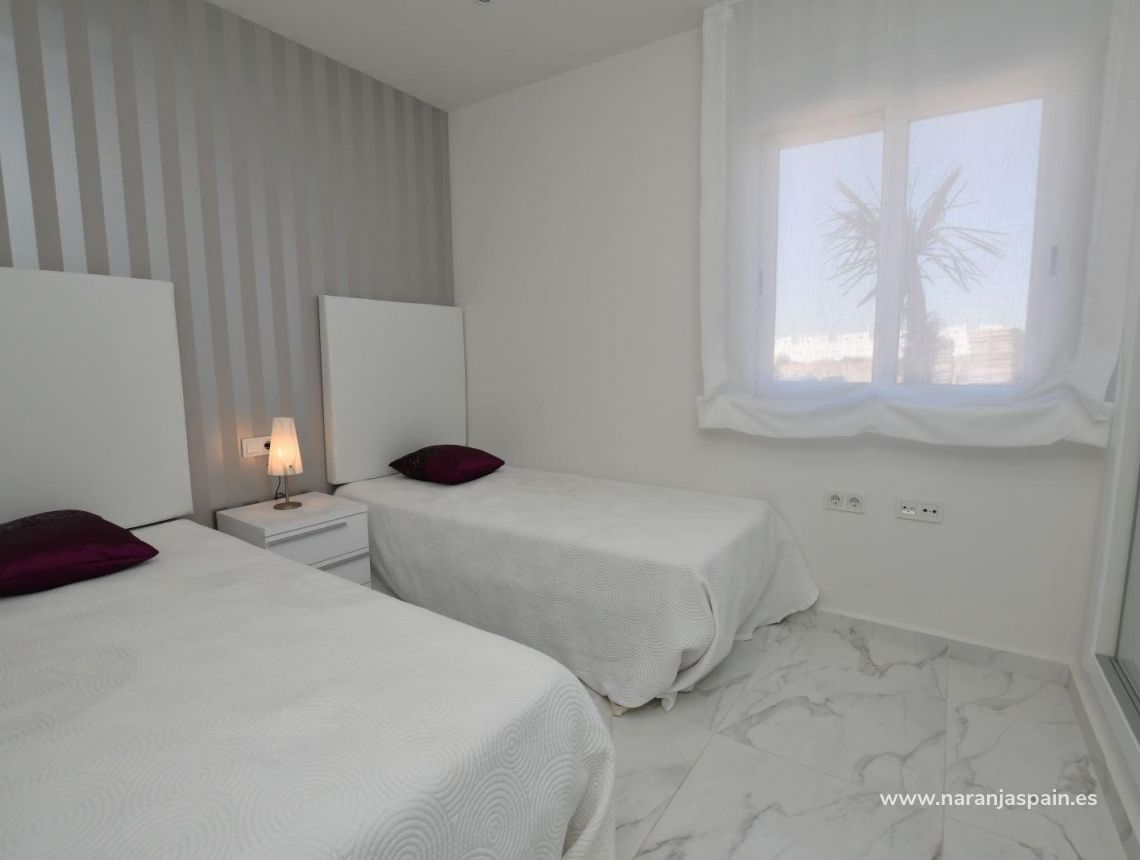 Obra Nueva - Bungalow - San Miguel de Salinas - La Cañada