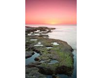 Obra Nueva - Bungalow - Torrevieja - Torrejón