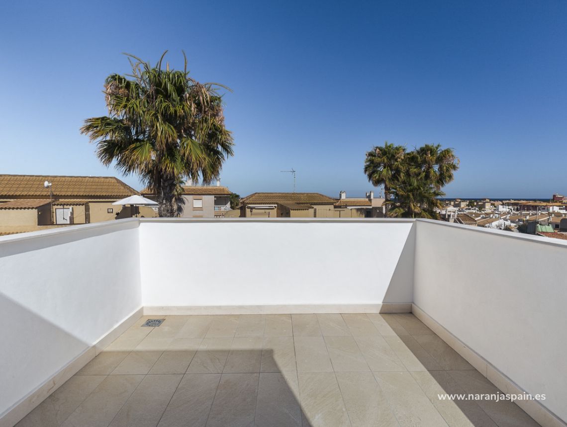 Obra Nueva - Chalet - Torrevieja - Torrevieja pueblo