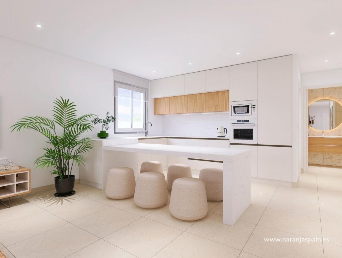 Obra Nueva - Quad House - Bigastro - pueblo