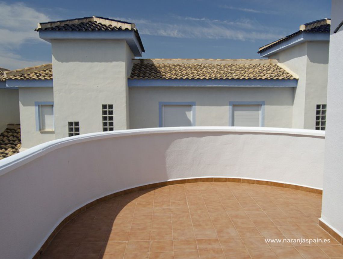 Obra Nueva -  - Rojales - Ciudad Quesada