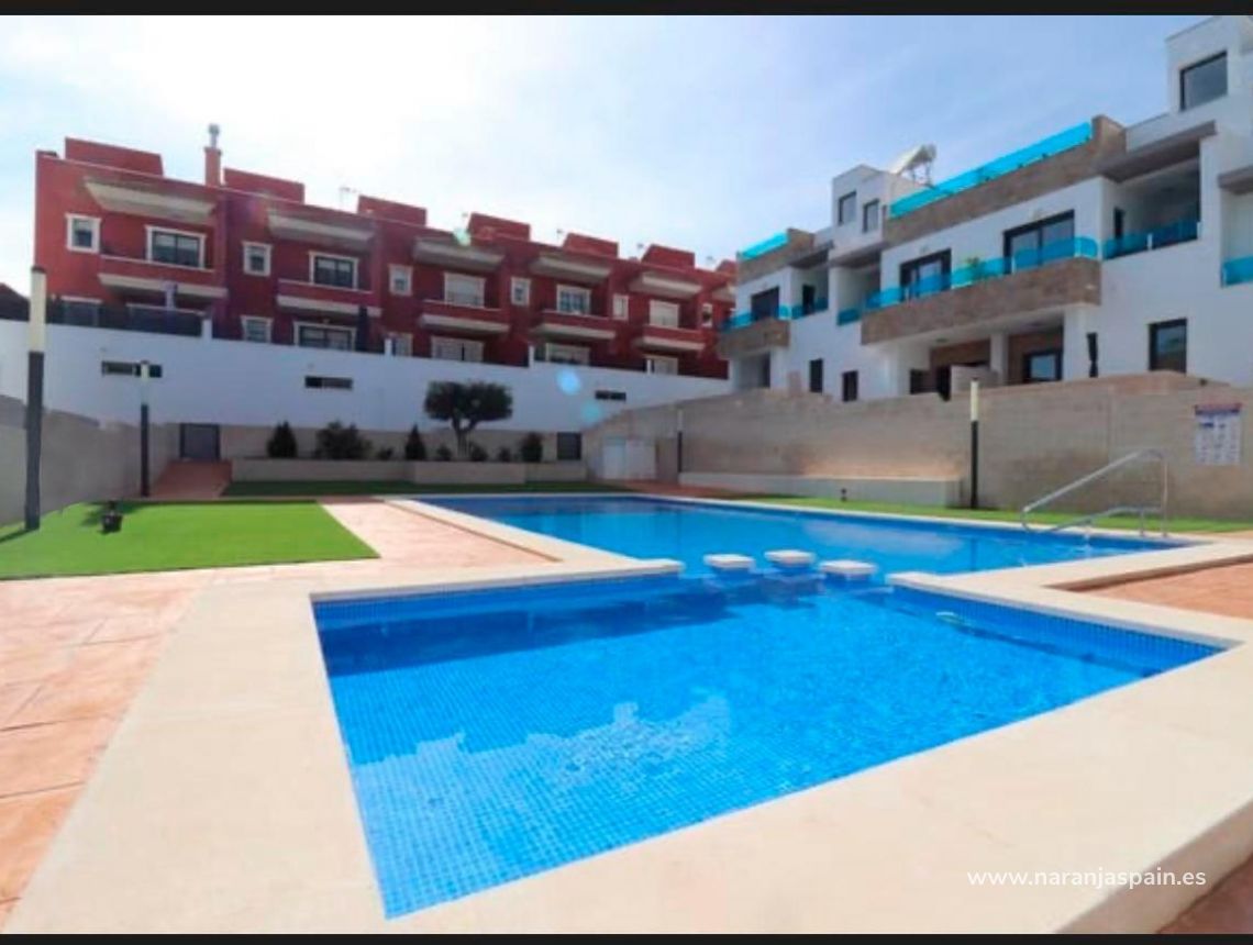 Obra Nueva - Town House - Bigastro - pueblo