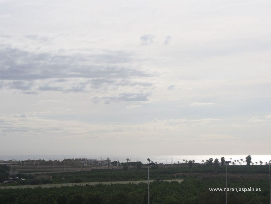 Obra Nueva - Town House - Torrevieja - Los Altos