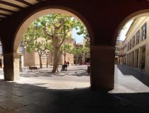 Obra Nueva - Villa - Aspe