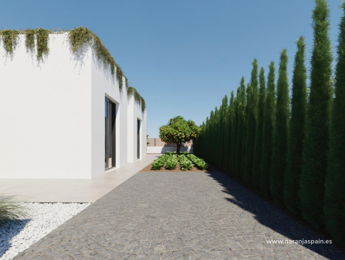 Obra Nueva - Villa - Fuente Álamo - Hacienda del Alamo