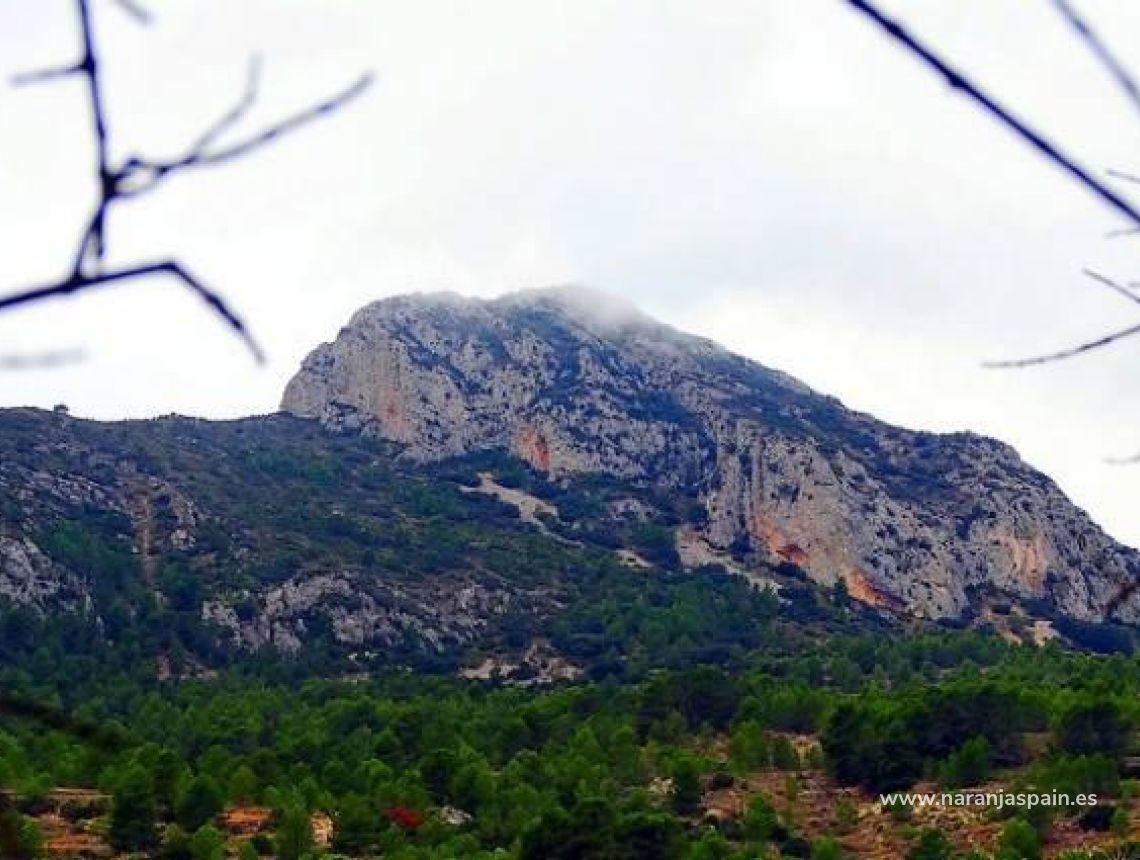 Obra Nueva - Villa - La Romana - Batistes