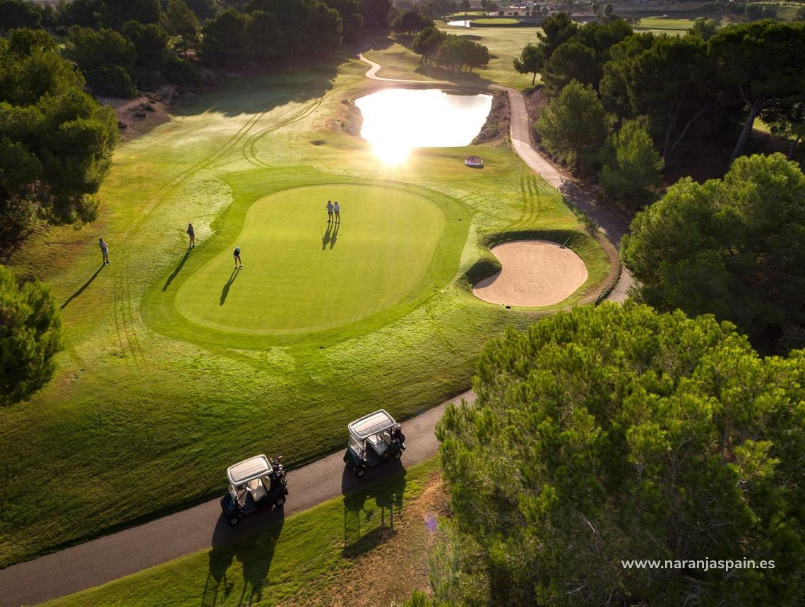 Obra Nueva - Villa - Pilar de la Horadada - Lo Romero Golf
