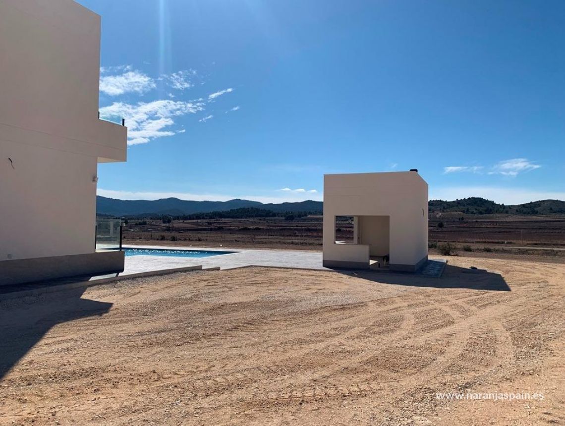 Obra Nueva - Villa - Pinoso - Camino Del Prado