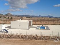 Obra Nueva - Villa - Pinoso - Camino Del Prado