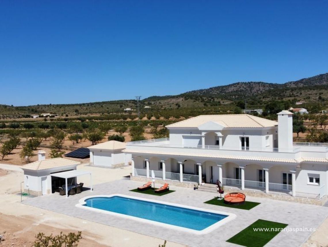 Obra Nueva - Villa - Pinoso - Camino Del Prado