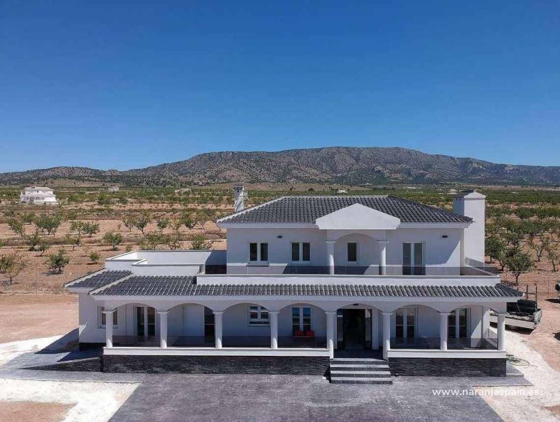 Obra Nueva - Villa - Pinoso - Camino Del Prado