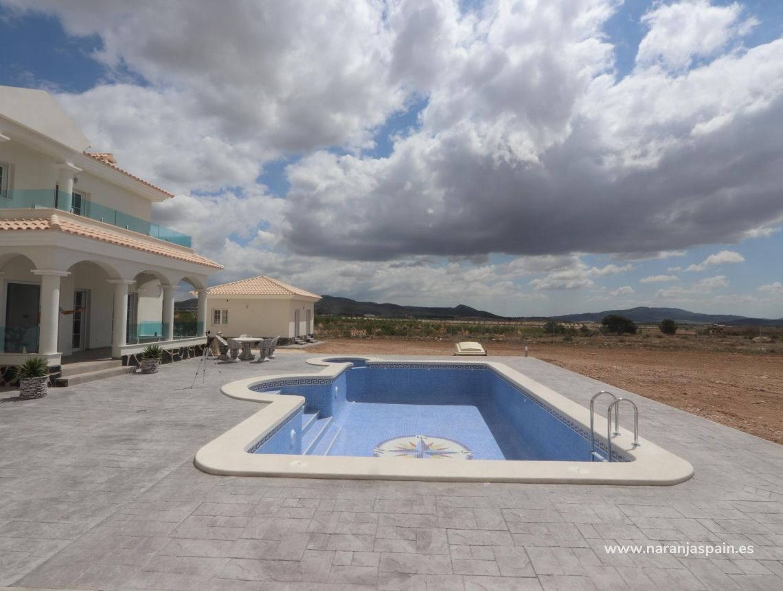 Obra Nueva - Villa - Pinoso - Camino Del Prado