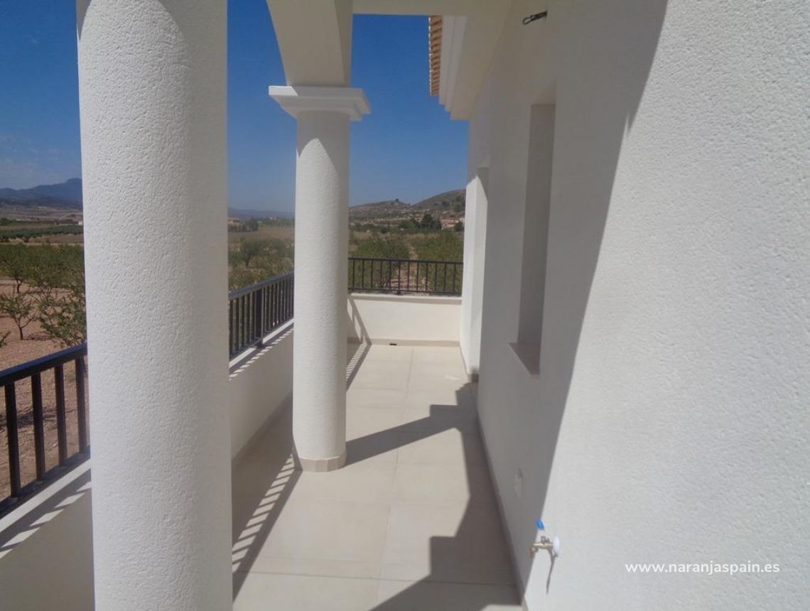 Obra Nueva - Villa - Pinoso - Camino Del Prado