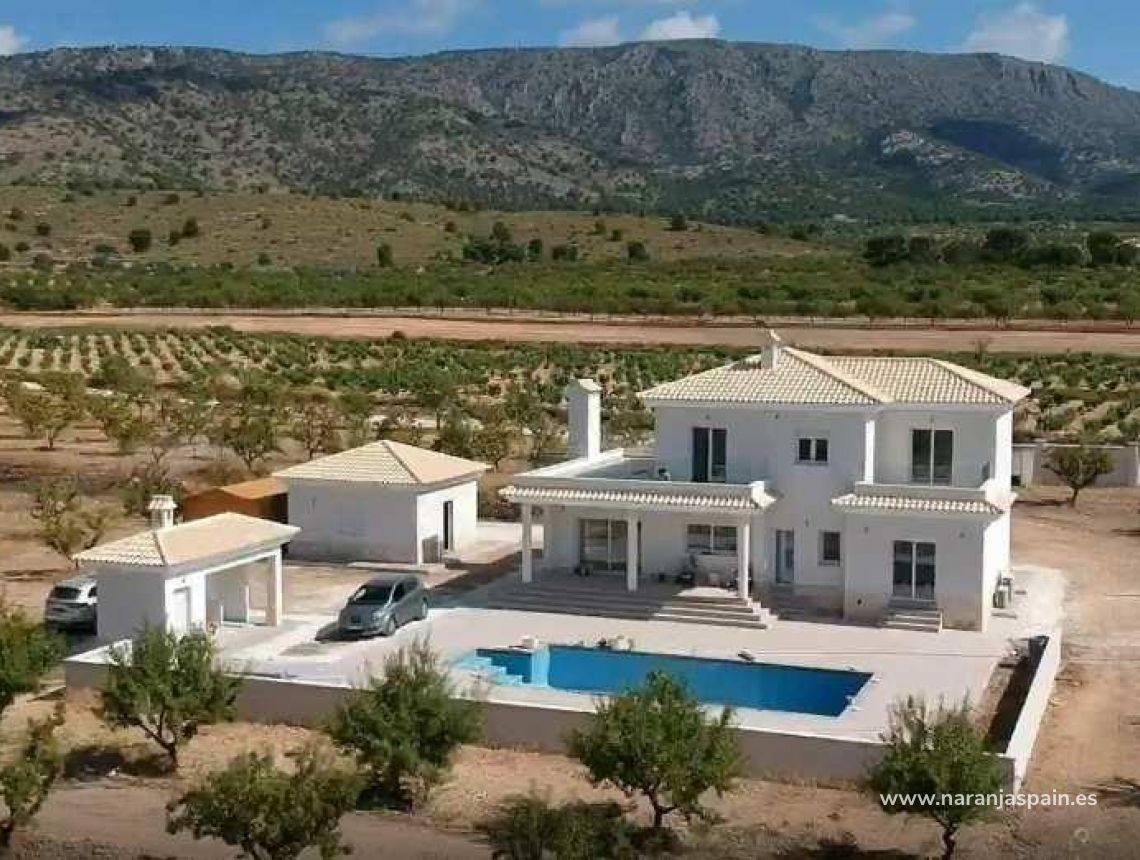 Obra Nueva - Villa - Pinoso - Camino Del Prado