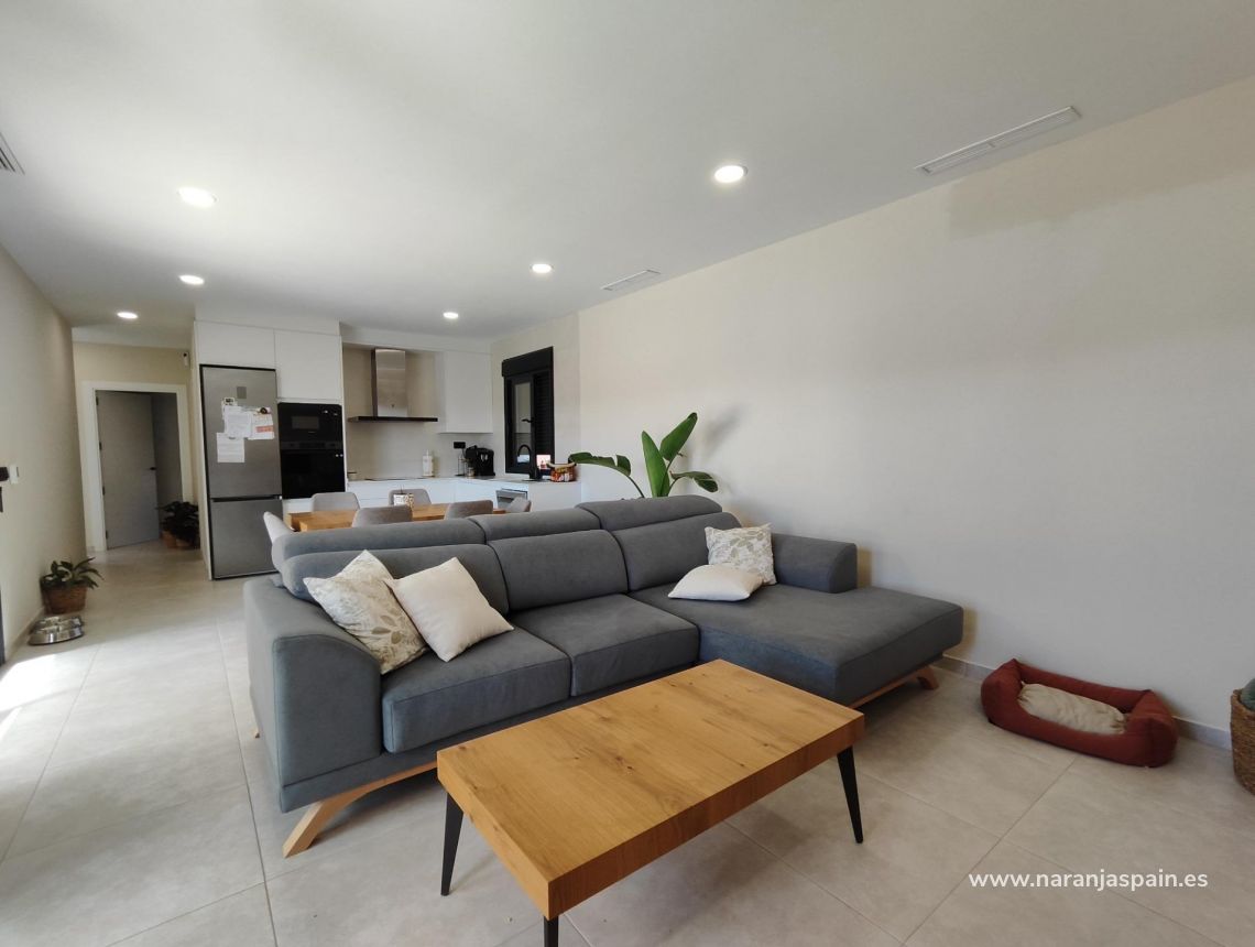 Obra Nueva - Villa - Pinoso - Campo