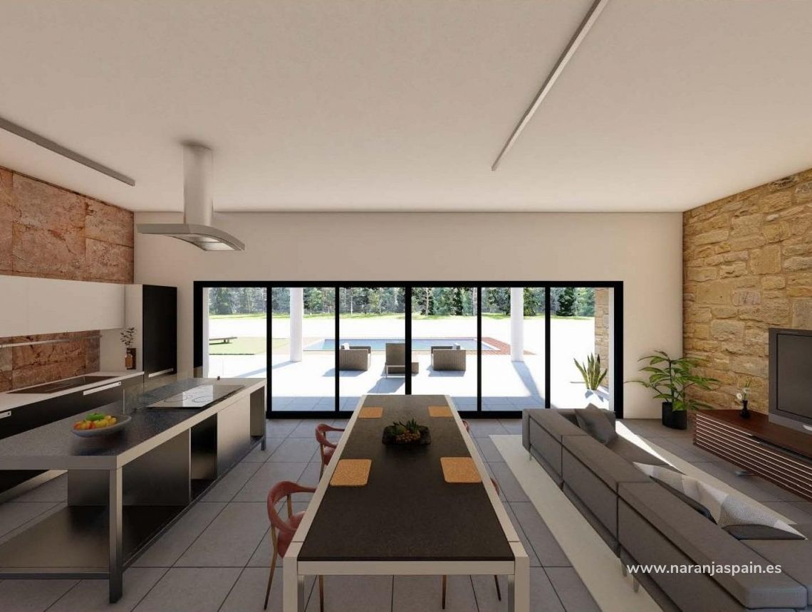 Obra Nueva - Villa - Pinoso - Campo