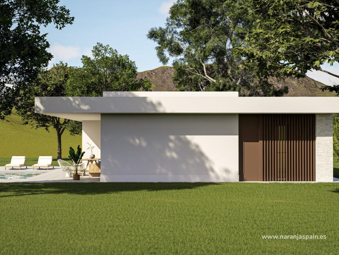 Obra Nueva - Villa - Pinoso - Lel