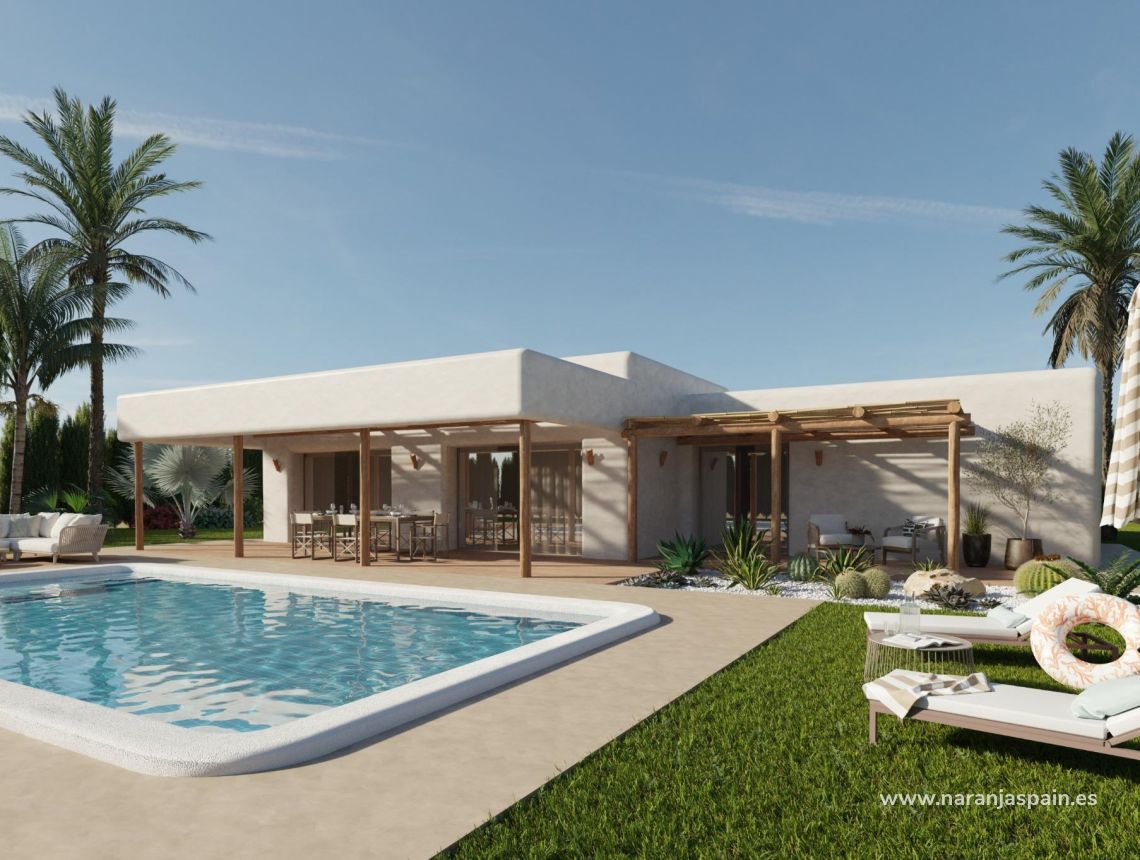 Obra Nueva - Villa - Pinoso - Rodriguillo