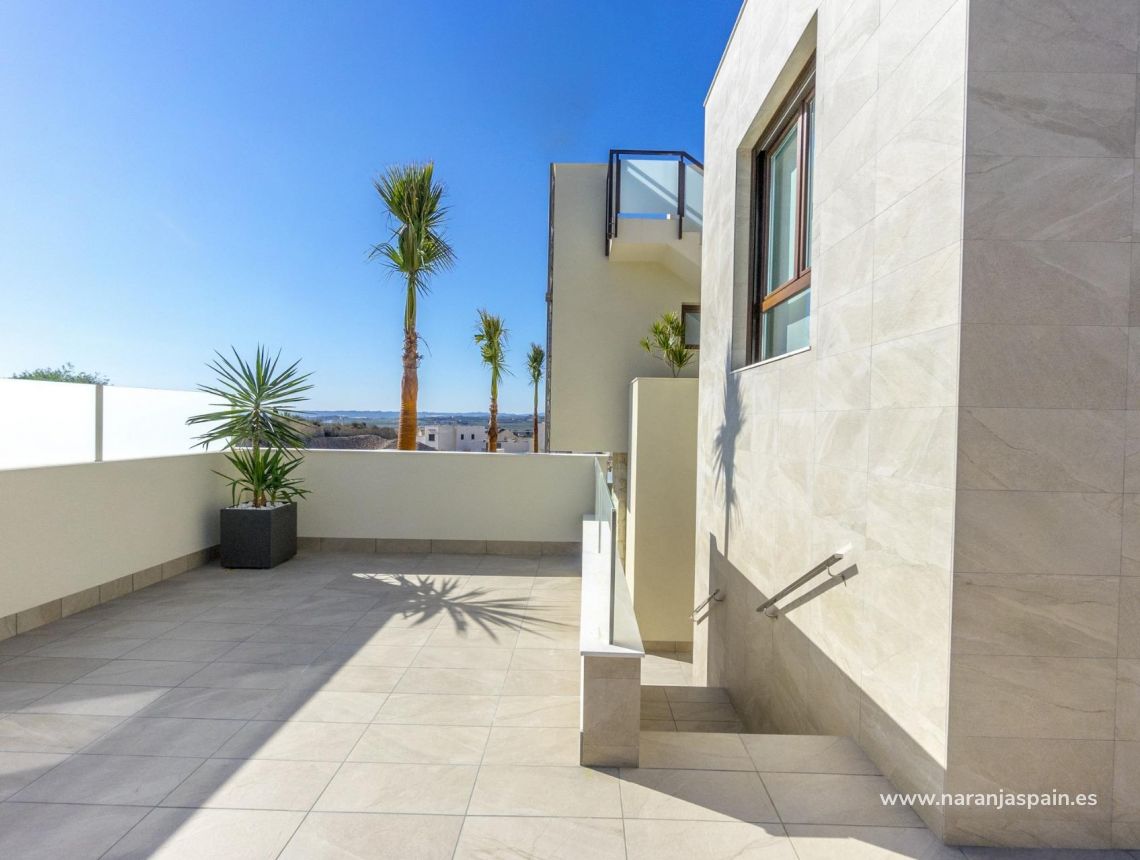 Obra Nueva - Villa - Rojales - Ciudad Quesada