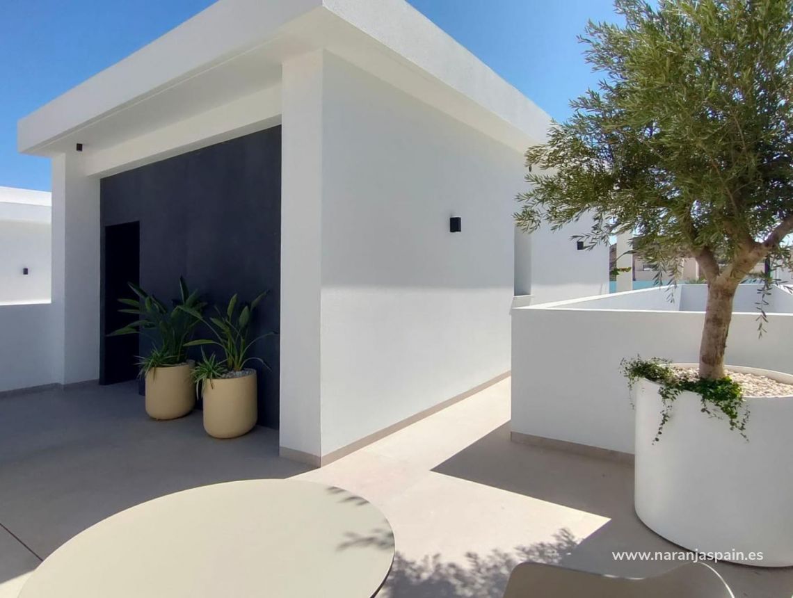 Obra Nueva - Villa - Rojales - Ciudad Quesada