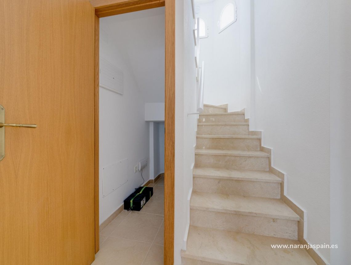 Obra Nueva - Villa - San Fulgencio - El Oasis