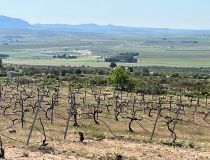 Obra Nueva - Villa - Yecla