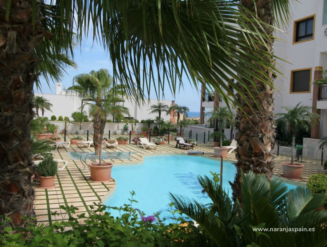 Parduodama - Apartamentai - Guardamar del Segura - Guardamar
