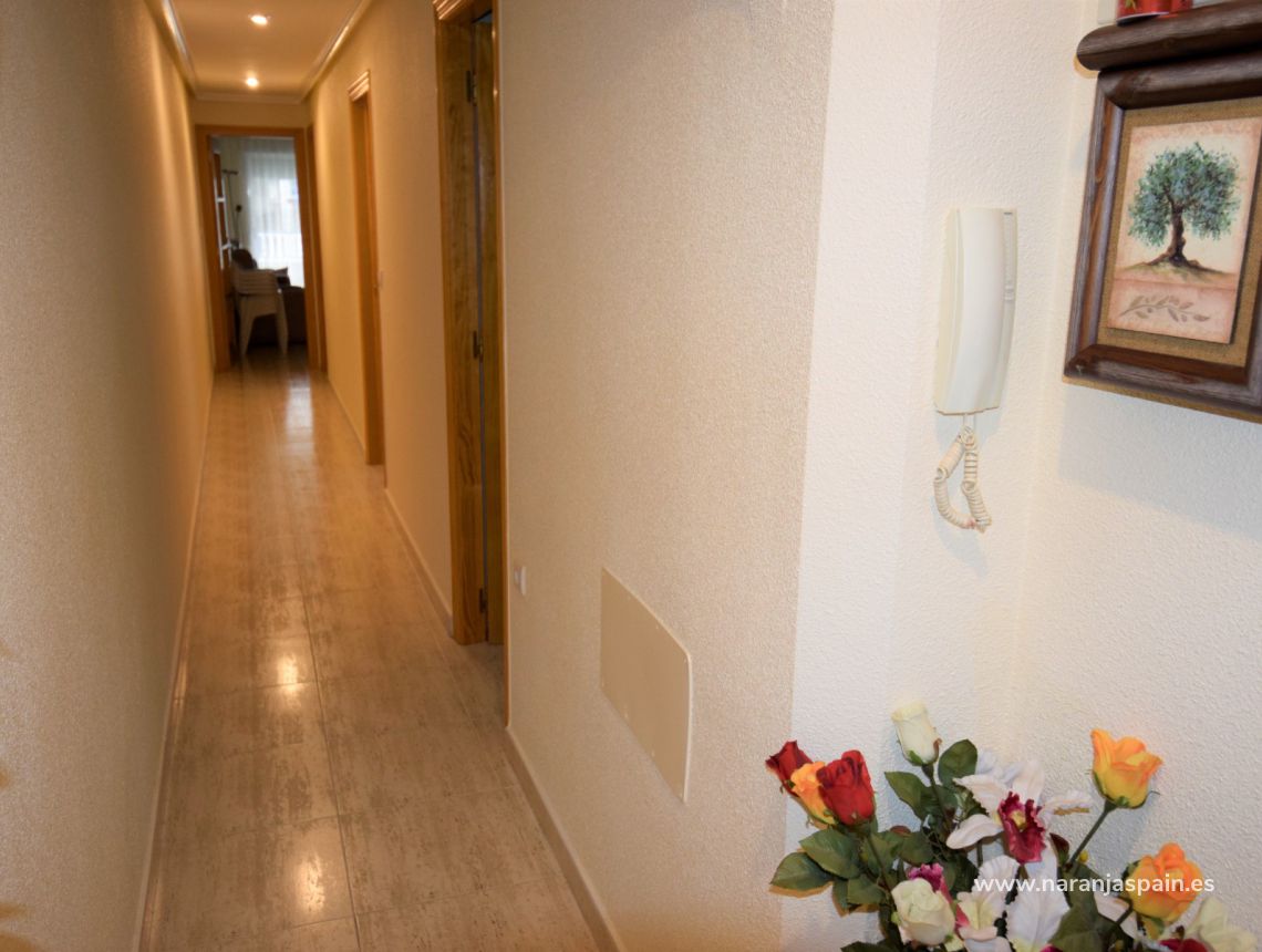 Parduodama - Apartamentai - Guardamar del Segura - Guardamar