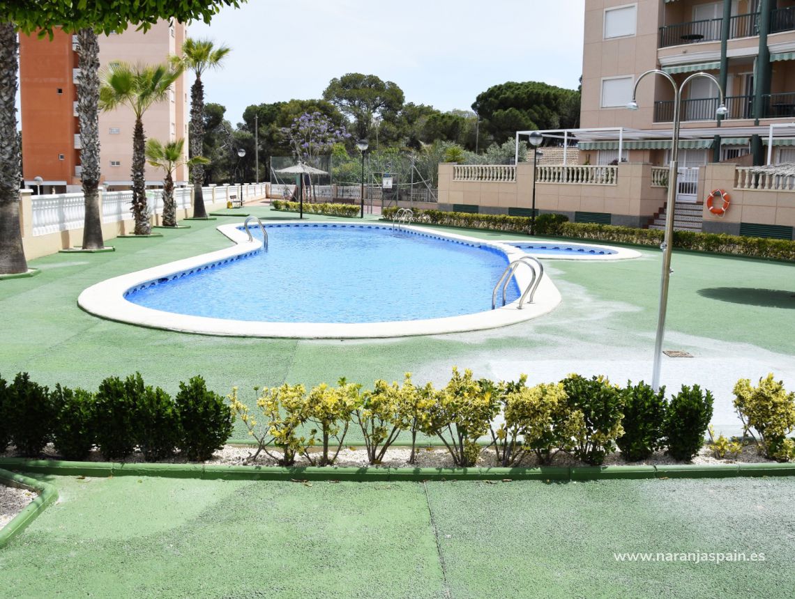 Parduodama - Apartamentai - Guardamar del Segura - Pineforest