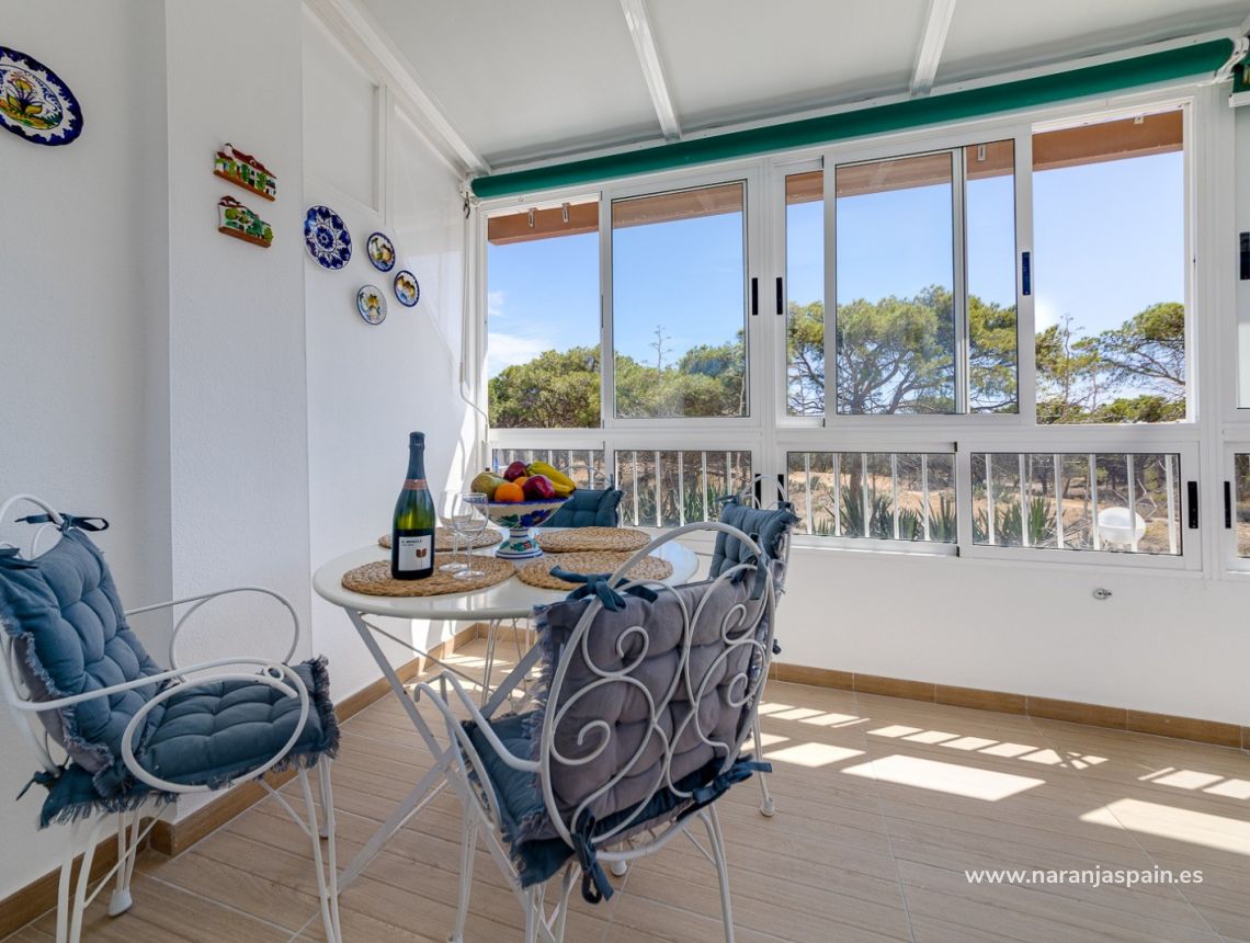 Parduodama - Apartamentai - Guardamar del Segura - Pinomar