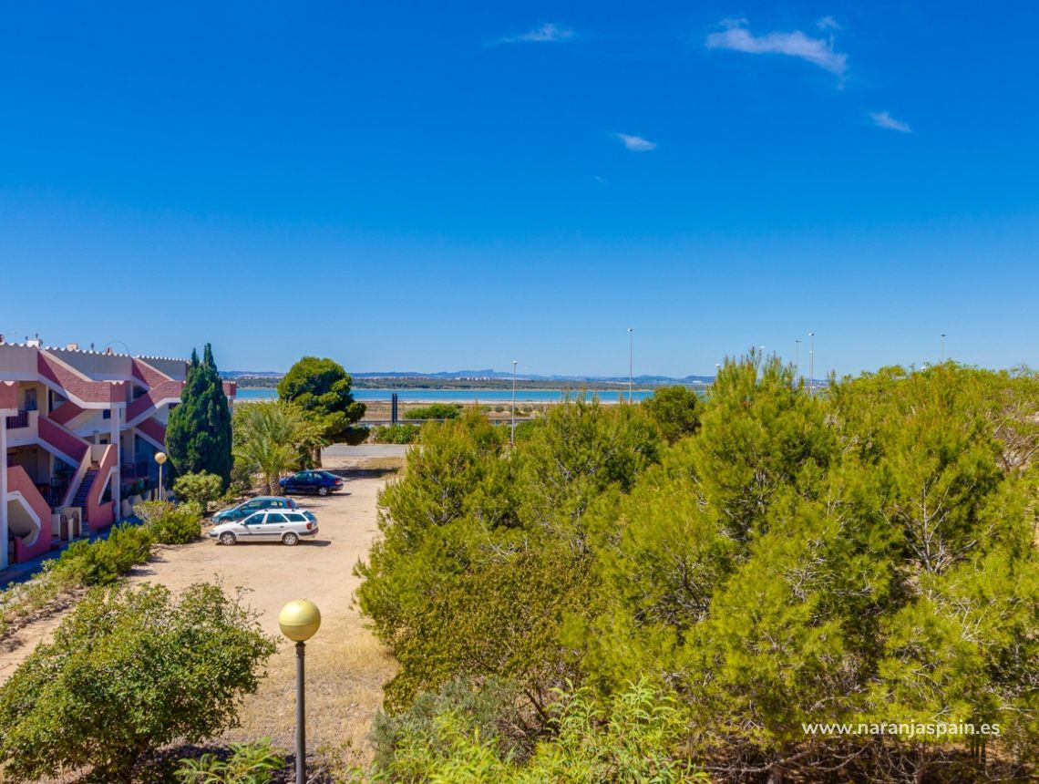 Parduodama - Apartamentai - Guardamar del Segura - Pinomar