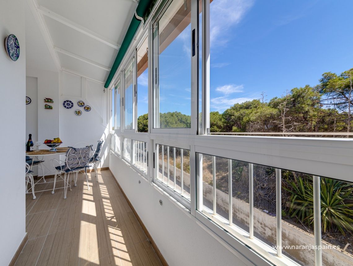 Parduodama - Apartamentai - Guardamar del Segura - Pinomar