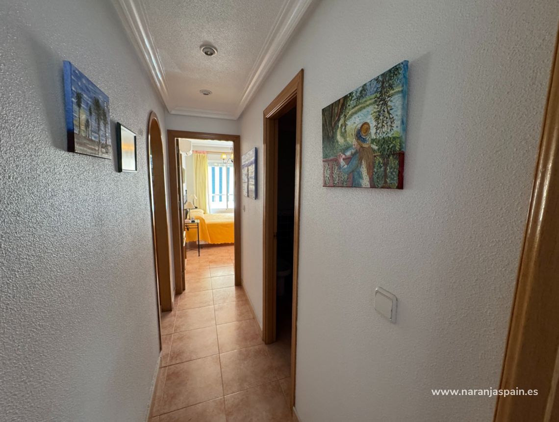 Parduodama - Apartamentai - Guardamar del Segura - South Park