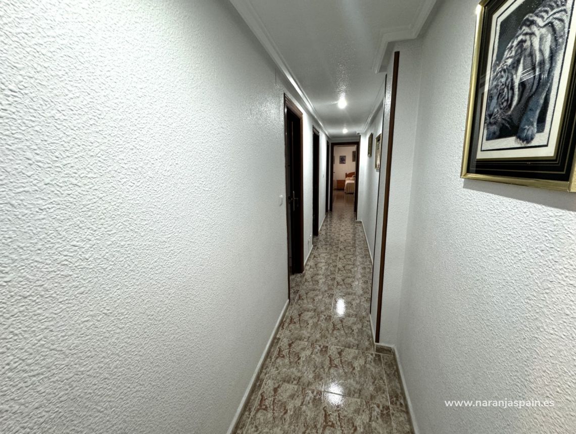 Parduodama - Apartamentai - Guardamar del Segura - town Guardamar