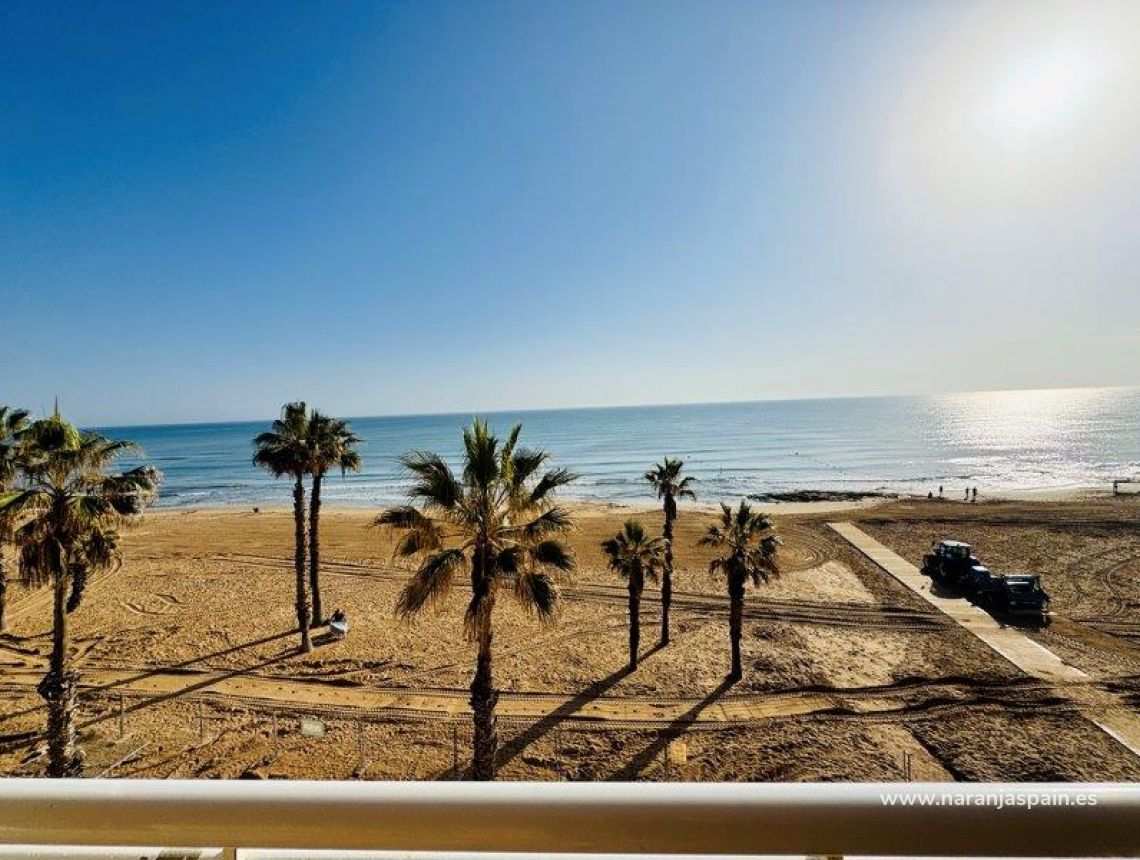 Parduodama - Apartamentai - La Mata, Torrevieja - La Mata