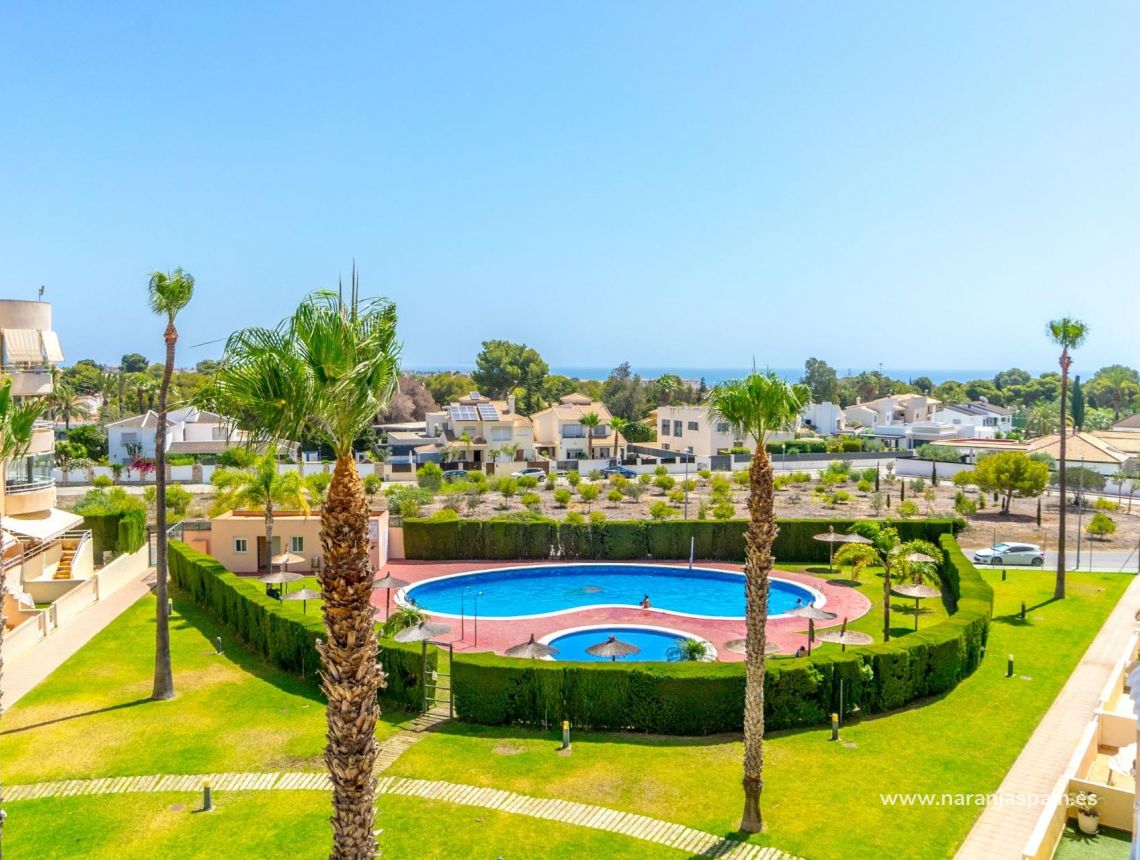 Parduodama - Apartamentai - Orihuela Costa - Campoamor