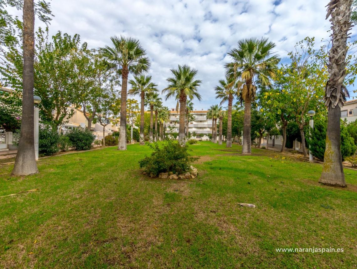 Parduodama - Apartamentai - Orihuela Costa - Campoamor